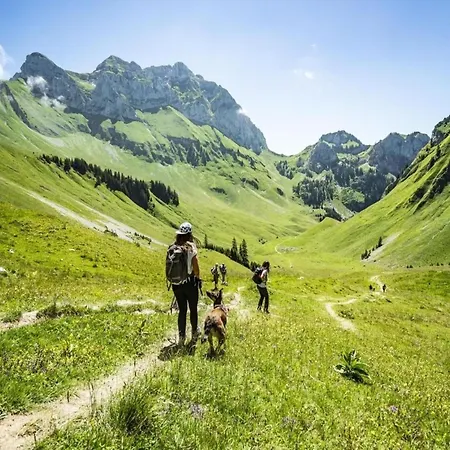 Apartamento Near Portes Du Soleil Area *